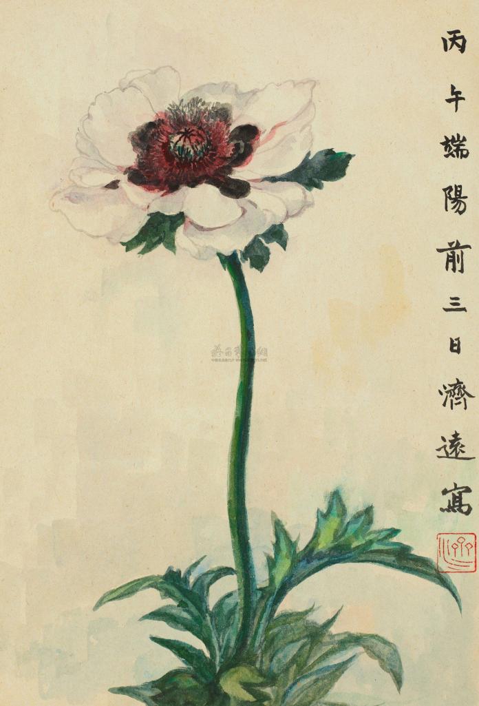 王济远 1966年作 罂粟花