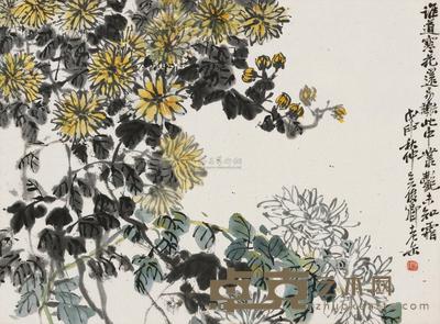 吴昌硕 戊申（1908）年作 菊艶图 镜框 32.5×44cm