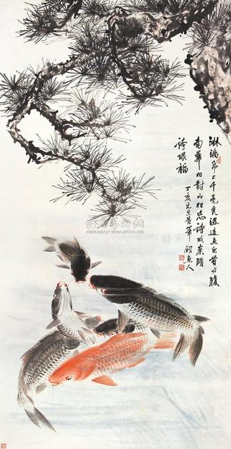 刘师子 鲤鱼 镜片