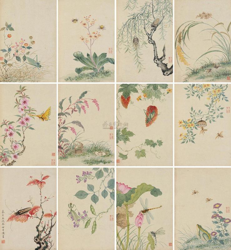 陈书 花鸟册 册页