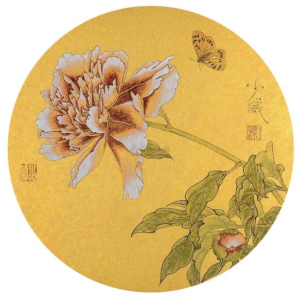 谢少威 天香 镜片