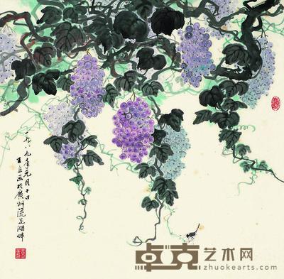 王立 葡萄 立轴 67.5×69cm