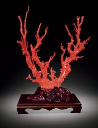 清 红珊瑚树