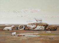 苗景昌 2010年作 眺望远方的羊