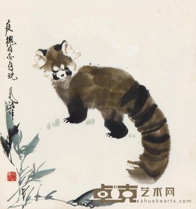 王为政 小熊猫 镜框 52×49.6cm