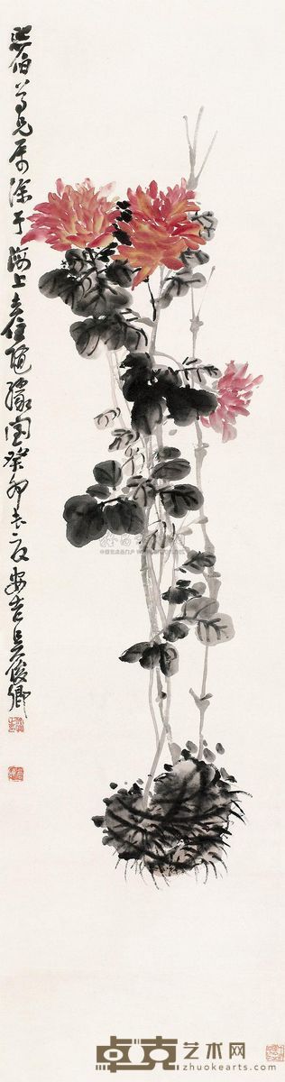 吴昌硕 1903年作 红菊 立轴 48×40cm