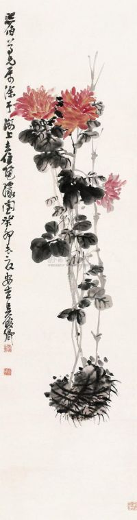 吴昌硕 1903年作 红菊 立轴