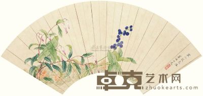 郑蕙 花卉 扇面 18×53cm