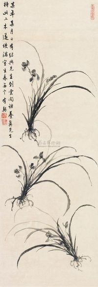 白蕉 兰花 立轴