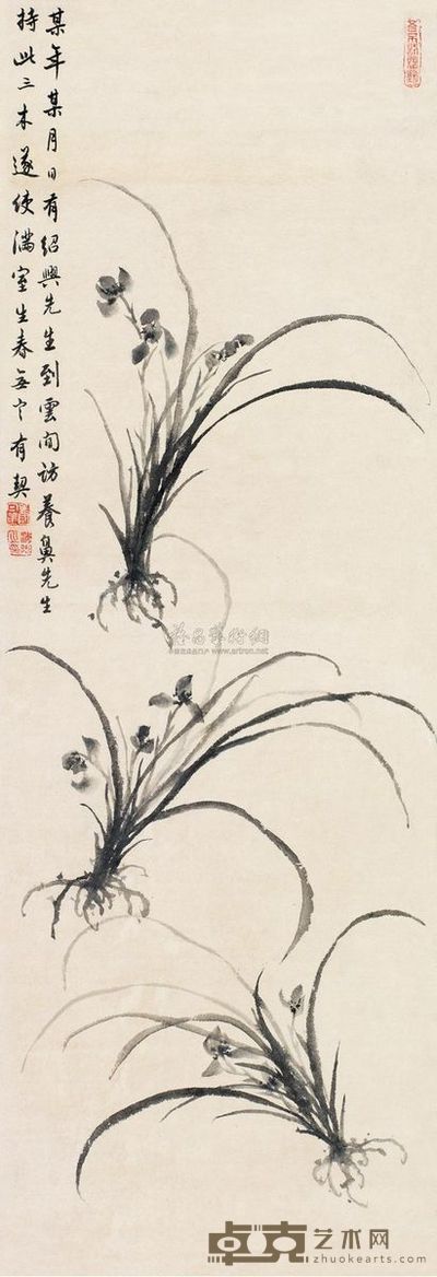 白蕉 兰花 立轴 84×28.5cm