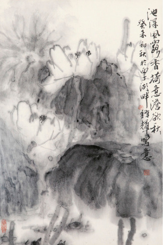 马锋辉 荷花