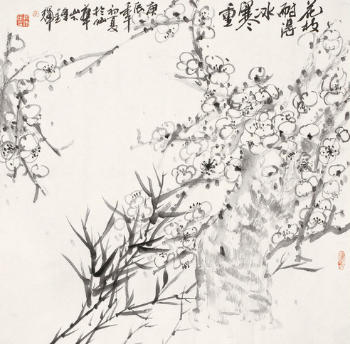 马锋辉 花卉