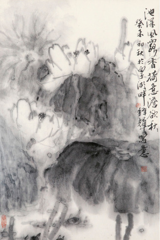 马锋辉 荷花