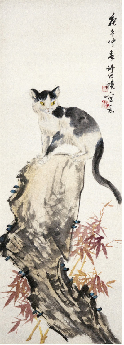 许竹楼 猫