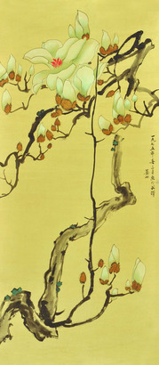 晏丽    玉兰花