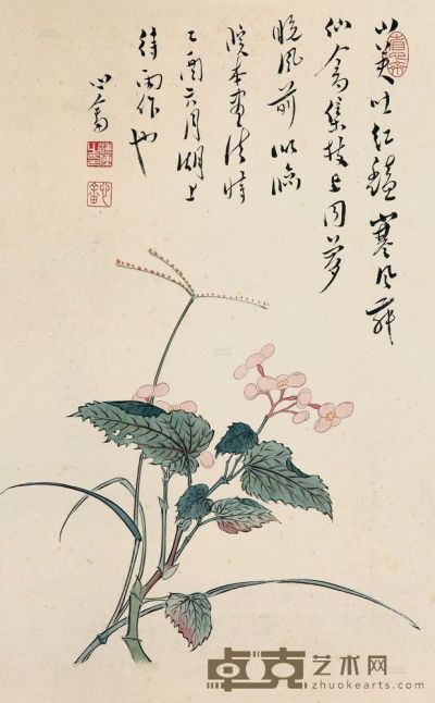 溥儒 花卉 立轴 39×24cm