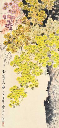 康师尧 山菊花 镜框