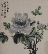 孔小瑜  牡 丹