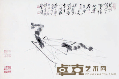 石昌明 虾 45*68