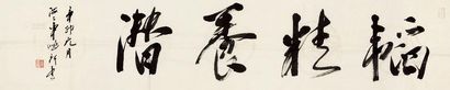 车鹏飞 行书 镜片
