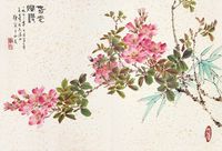 康师尧 春花烂漫 镜片