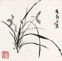 白蕉 兰花 镜片