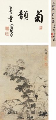 王榖祥 菊石图 立轴