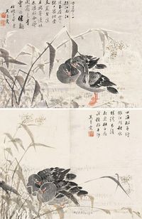 吴青霞 芦雁两帧