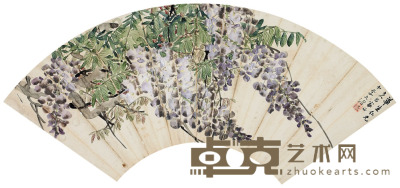李文沼(近代) 紫藤 17.5×50cm 6 7/8 ×19 3/4in.约0.8平尺