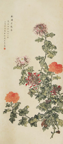 陆小曼 菊花