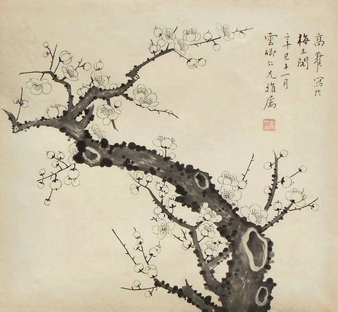 高野侯 梅花