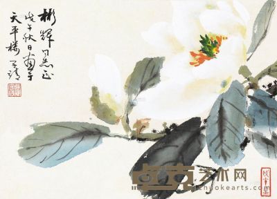 张守成 戊午（1978）年作 玉兰花开 镜片 23×32cm