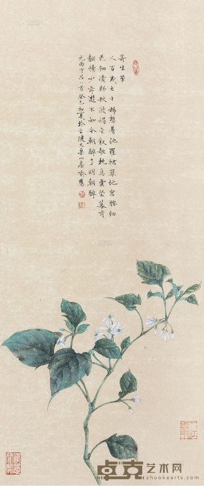 喻慧 寄生草 镜心 65×27.5cm