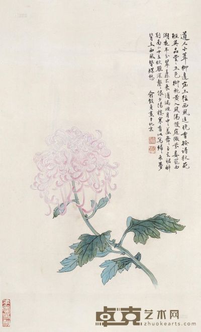 俞致贞 菊花 镜心 62.5×37cm