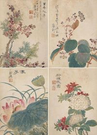 张舒 1806年作 花卉 册 （十二开）