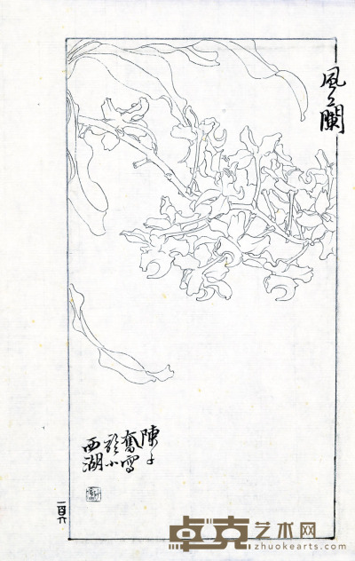 陈子奋 风兰（白描） 33×22cm约0.7平尺