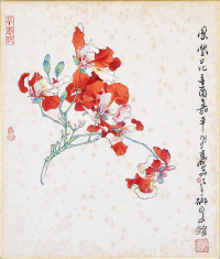郑乃珖 凤凰花（工笔）1981年作