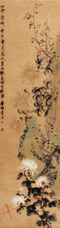 孔小瑜 菊花