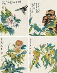 范扬 花卉