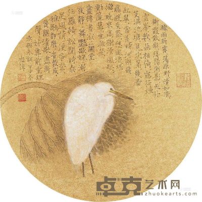江宏伟 白鹭 49.5×35cm