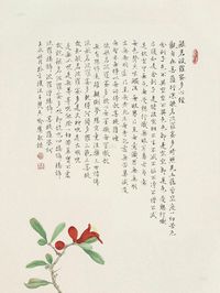 喻慧 山茶心经