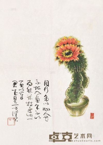 陈佩秋 仙人球 镜心 54×39cm
