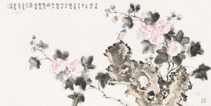 李云涛 芙蓉小鸟 软片