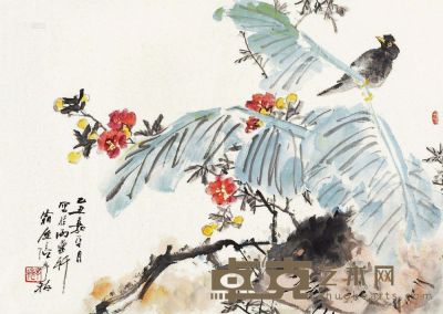 张辛稼 乙丑（1985）年作 芭蕉鹩哥 镜片 59.5×83.5cm