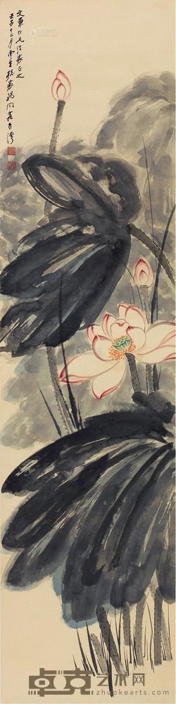 孙云生 1972年作 菡萏 立轴 136×33cm