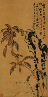 梁公约 花卉