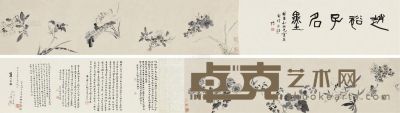赵焞夫 杂花图卷 长卷 27.5×225cm