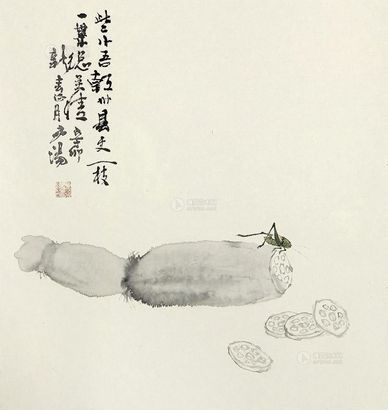 汤宾 藕 镜片