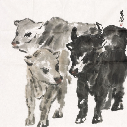 杨素群 牛