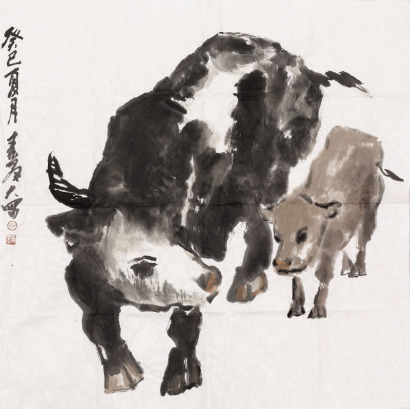 杨素群 牛